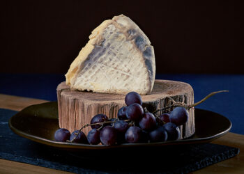 This is a picture of Bent River Camembert cheese, featured at Fromagination