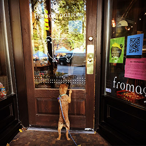 Fromagination's shop is interesting to everyone!