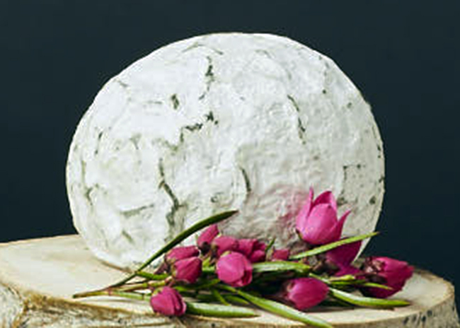 This is a picture of Wabash Cannonball cheese, offered by Fromagination.