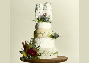 This is a picture of the Snow Bird Cake of Cheese from Fromagination.