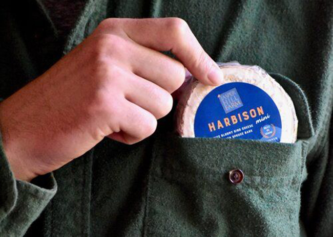 This is a picture of Harbison cheese, featured at Fromagination.