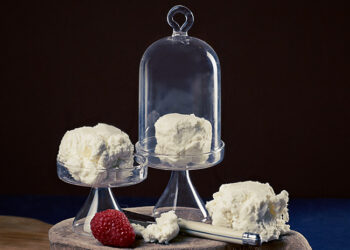 This is a picture of fresh Cheve (goat cheese), offered by Fromagination
