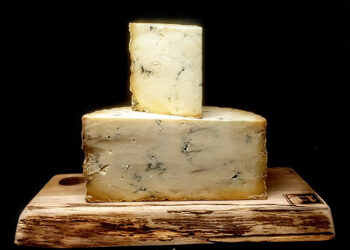 This is a picture of Stichelton cheese, offered by Fromagination.
