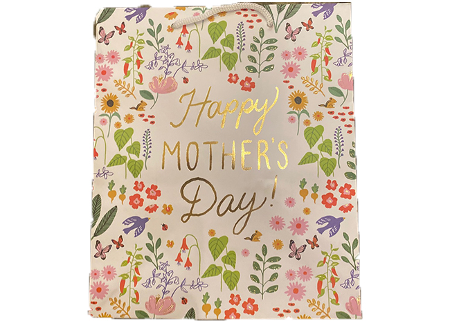 This is a picture of a large Mother's Day Bag, offered by Fromagination.