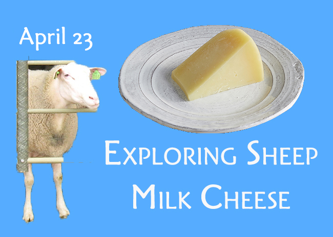 This is a picture of the Exploring Sheep Milk Cheese class, offered by Fromagination.